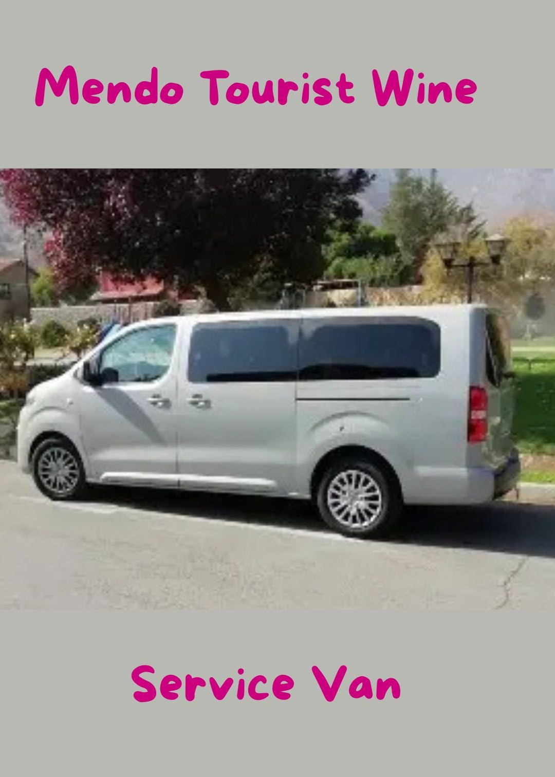 Wine & Andes Transfers