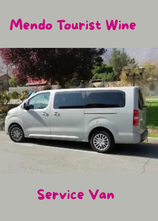 Wine & Andes Transfers
